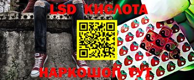 сатива Беслан