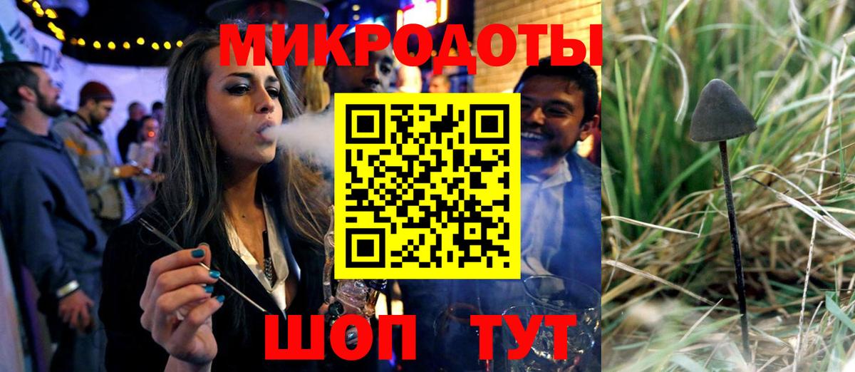 Галлюциногенные грибы Psilocybe Заволжье